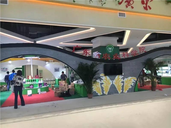 大黄蜂展览设计