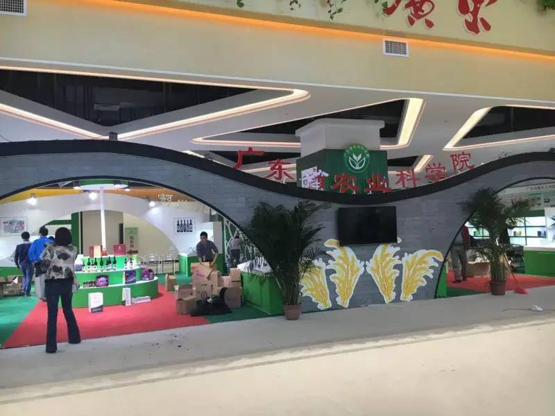 大黄蜂展览设计
