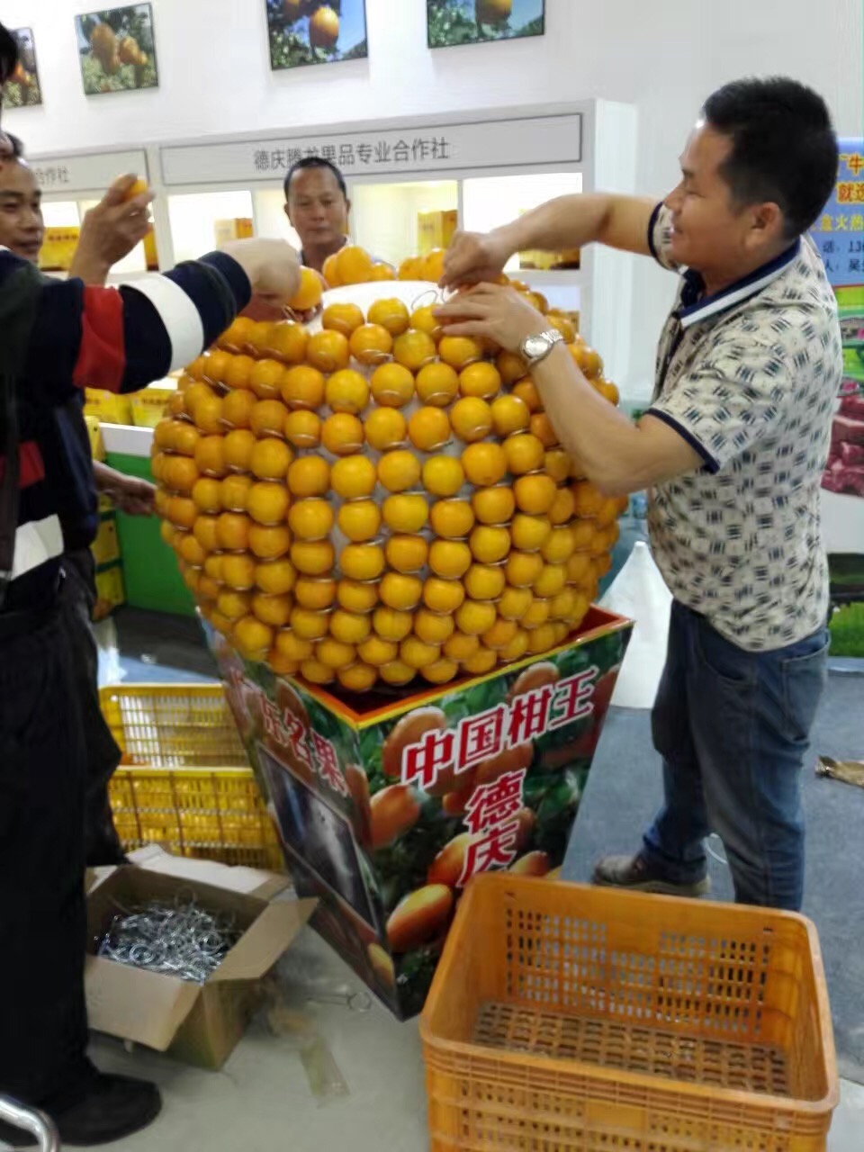 大黄蜂展览设计