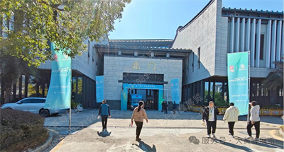 大黄蜂展览助力广东林博会