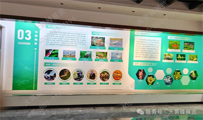 大黄蜂展览助力广东林博会