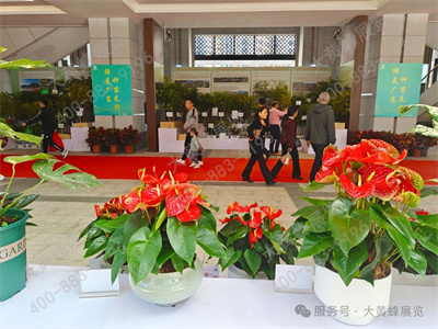 大黄蜂展览助力广东林博会