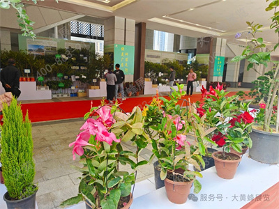 大黄蜂展览助力广东林博会