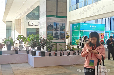 大黄蜂展览助力广东林博会